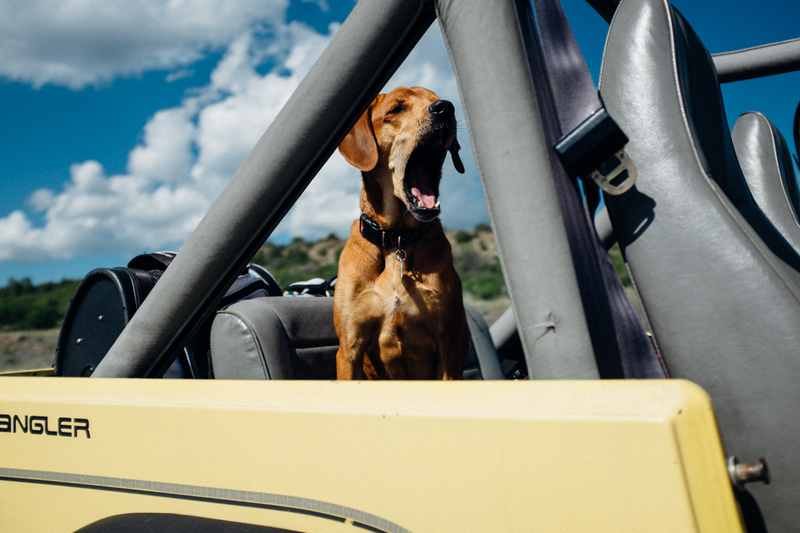 Illustration for article titled Driving A 1991 Wrangler Sans Top Is A Lot Like Meeting Your Heroes